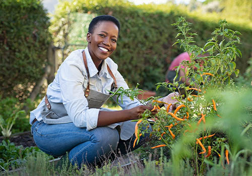 Wellbeing_web_images_0000_centerforhealthyliving